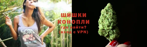 гидра Волоколамск